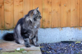 DSCF4715.jpg