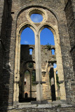 IMG_4380.JPG
