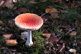 IMG_0059.JPG