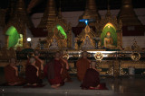 IMG_4968.JPG