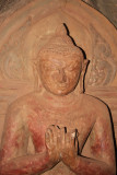 IMG_5423.JPG