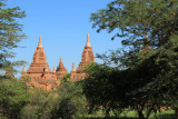 IMG_5500.JPG