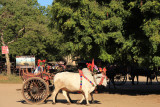 IMG_5771.JPG