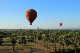 IMG_5658.JPG