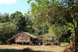 IMG_4635.JPG