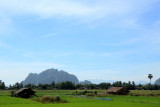 IMG_5244.JPG