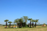 IMG_5343.JPG