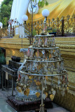 IMG_5370.JPG