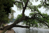 IMG_6687.JPG