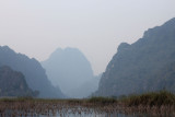 IMG_6978.JPG