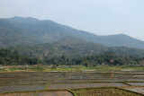 IMG_7113.JPG