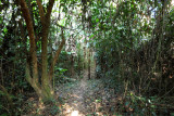 Nam-Et-Phou Louey National Protected Area