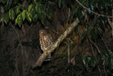 Nam-Et-Phou Louey National Protected Area