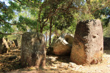 Plain of Jars