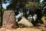 Plain of Jars