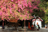 Luang Prabang
