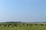 Woodhenge