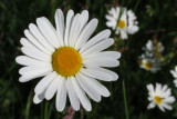 IMG_1856.JPG