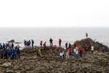 Giant Causeway