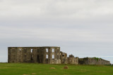 Downhill Demesne
