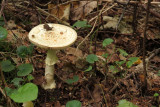 IMG_5551.JPG