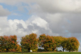 IMG_5586.JPG