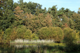 IMG_7498.JPG