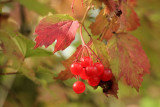 IMG_7506.JPG
