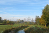 IMG_5975.JPG