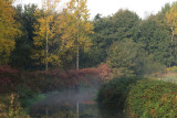 IMG_5981.JPG