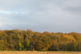 IMG_6131.JPG