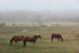 IMG_6162.JPG