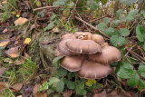 IMG_6607.JPG