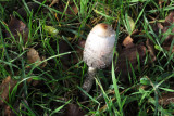 IMG_6676.JPG