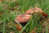 IMG_6756.JPG