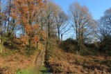 IMG_6732.JPG