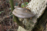 IMG_6830.JPG