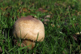 IMG_6939.JPG