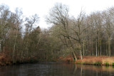 IMG_6837.JPG