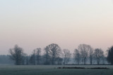IMG_7208.JPG
