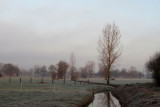 IMG_7218.JPG