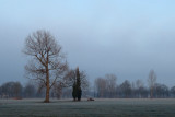 IMG_7220.JPG