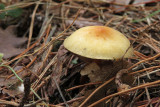 IMG_7244.JPG