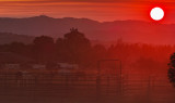 Red Sky at Night, Ranchers Delight
