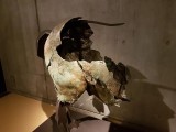 Gallo-Roman Museum of Lyon-Fourvière