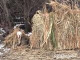 Remi_181111_002.jpg