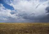 serengeti national park, tanzania
