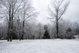 _DSC1939s1080.jpg