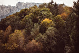 Landschaft.f_170928_1195.jpg