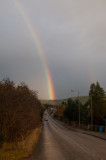 23rd October 2017 Carrbridge